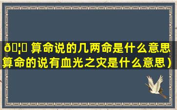 🦍 算命说的几两命是什么意思（算命的说有血光之灾是什么意思）